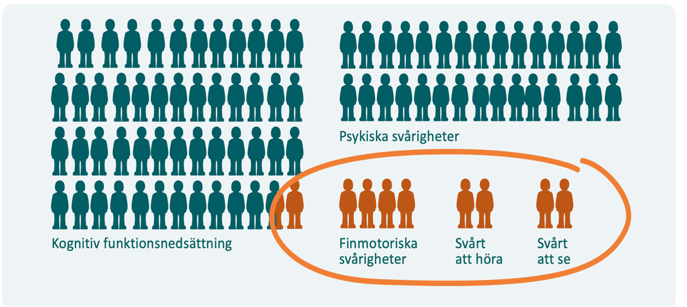 Bild 11. Grupper som ingår i Begripsams undersökning Svenskarna med funktionsnedsättning och internet. Endast de inringade omfattas av tillgänglighetskraven i webbstandarden WCAG.